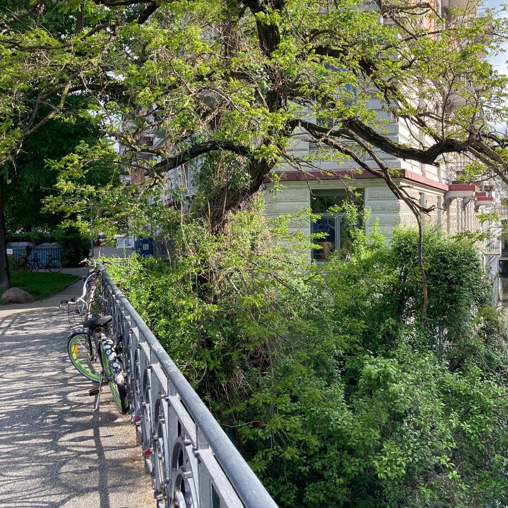 Morgendlicher Blick über die Isebrücke