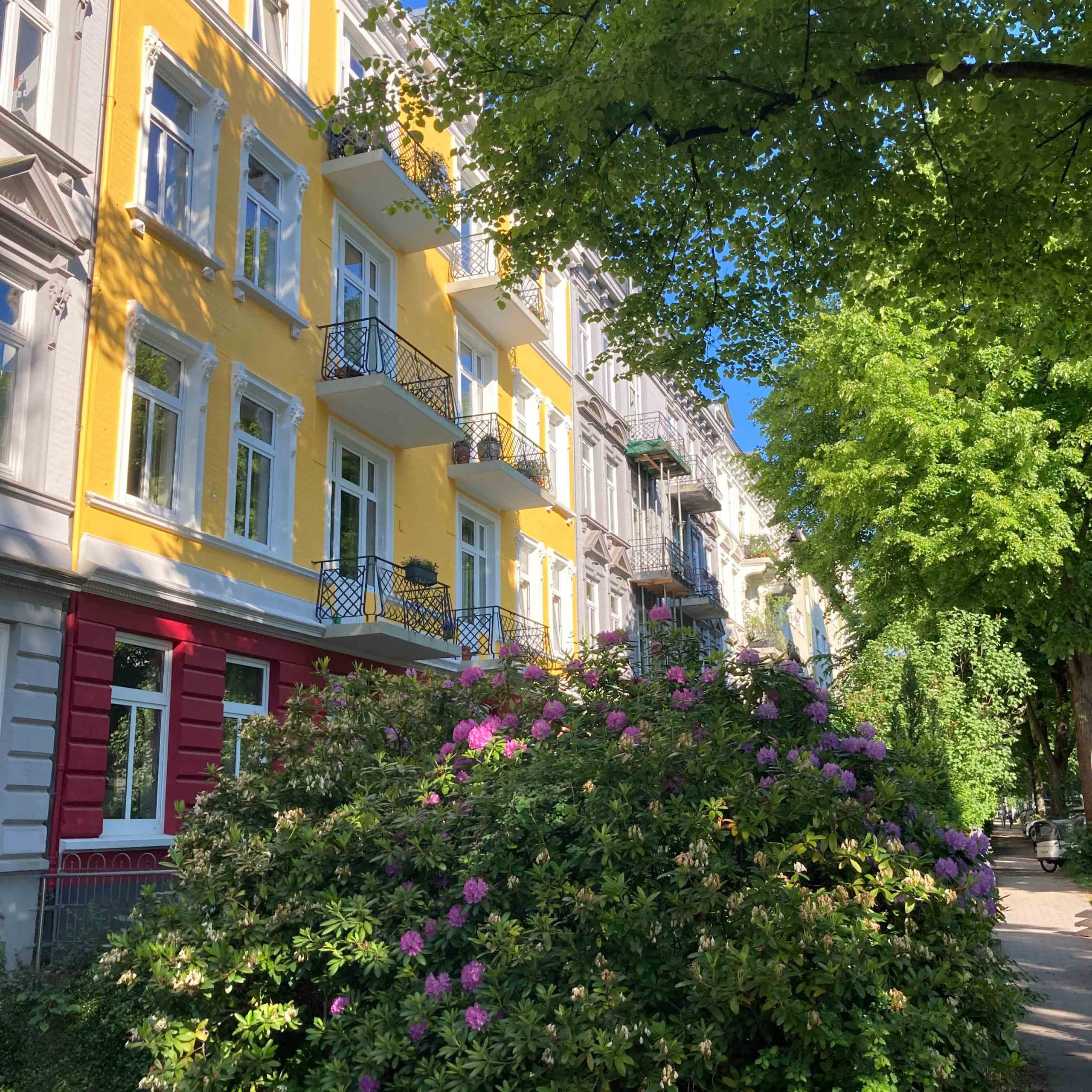 Bunte Häuser und Rhododendren-Büsche in Eimsbüttel