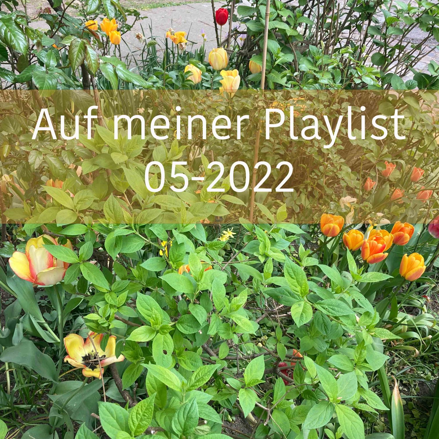 My so-called Luck – Ein Blog, der all den kleinen inspirierenden Dingen ... My so-called Luck – Ein Blog, der all den kleinen inspirierenden Dingen ...